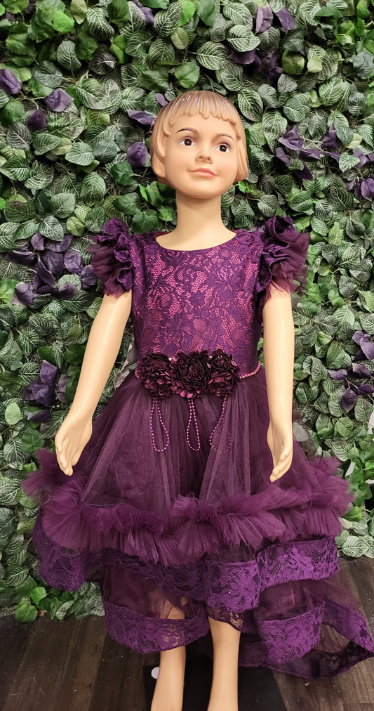 Purple Lace and Net Train Dress